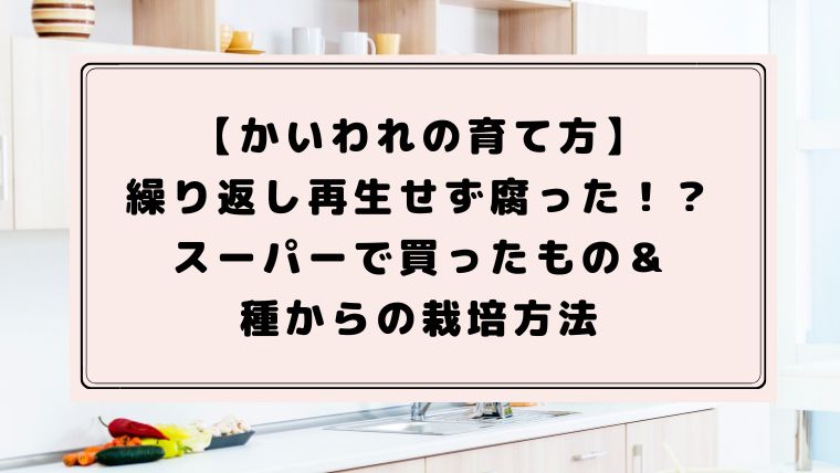 かいわれの育て方 繰り返し再生せず腐った スーパーで買ったのはダメなの ハピネスみっけ